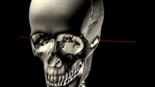 The Skull in Motion  Atlas and Occiput [upl. by Zoba]