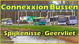 Connexxion Bussen Spijkenisse  Geervliet [upl. by Raul]