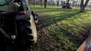 Pecan harvest processing and retail at Flying G Ranch in Oklahoma [upl. by Ajar872]