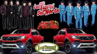 puros corridos chingones ✴️ ☆Los tigres del Norte vs los tucanes de Tijuana ☆ [upl. by Barvick]