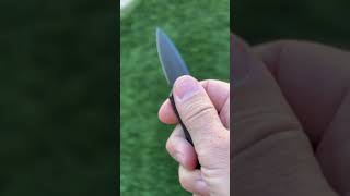 Micro Hornet OTF Knife  knife tactical otfknife ravencresttactical [upl. by Nomelc664]