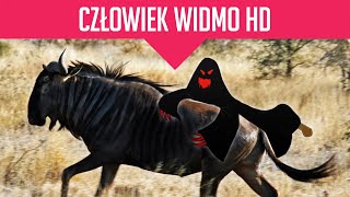 Człowiek Widmo HD [upl. by Malkin]