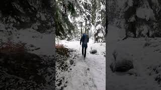 Hiking througth snow covered forests in the French Alps snow hiking mountaineering winter [upl. by Jessee475]