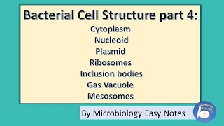 Bacterial cell structure Part 4 cytoplasm and other cytoplasm components [upl. by Prochoras236]