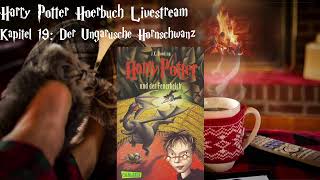 Harry Potter und der Feuerkelch LIVESTREAM Deutsch 7 podcast Harry Potter Hörbuch zum Einschlafen [upl. by Orelee]