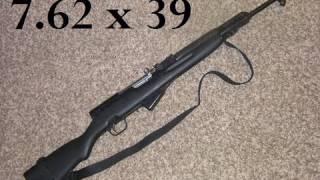 SKS RIFLE  THE BEST KEPT SECRET [upl. by Madoc]