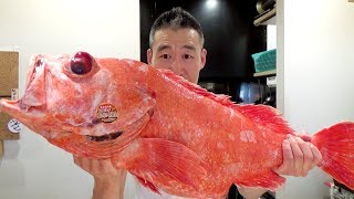 오로시영상일본 거대한 생선 회뜨기먹방 fillet giant fish for sashimi and eating show [upl. by Cutlip212]