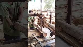 Wood Craftsmanship Machine Cutting Techniques woodcut woodcuting youtubeshorts wood [upl. by Pier]