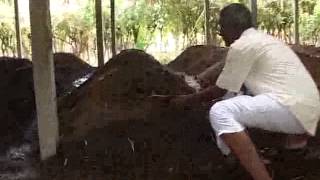 Organic Farming  A Success Story in Tamil Nadu India [upl. by Ahsitnauq]