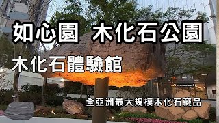 如心園Nina Park｜木化石公園｜如心園木化石體驗館獨｜假日必遊｜香港景點【廣東話｜中文字幕】 [upl. by Nicholson]