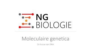 Moleculaire genetica  de bouw van DNA  HAVOVWO [upl. by Roseline375]