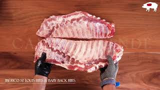 IBÉRICO BABY BACK RIBS  BUTCHERING [upl. by Drofyar]