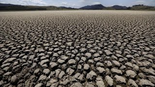 A Marsiglia il Congresso mondiale per la conservazione della biodiversità IUCN [upl. by Niltak664]