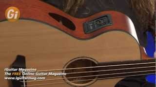 Breedlove Solo Fretless Acoustic Bass BJ350 CM4 Guitar Review With Dan Veall  iGuitar Magazine [upl. by Akialam]