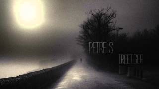 Petrels — Treetiger [upl. by Ecinrev]