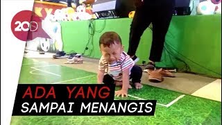 Gemas Lihat BayiBayi Ini Ikut Lomba Merangkak [upl. by Aneloj]