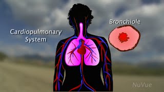 Asthma and Exercise [upl. by Rawdin]