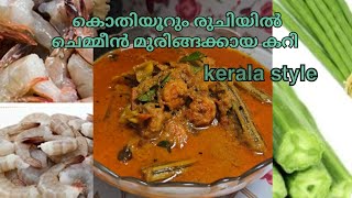 ചെമ്മീൻ മുരിങ്ങക്കായ കറി  prawns drumstick curry  kerala style  prawns curry  rabysworld [upl. by Selin]