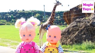 Las Bebés NENUCO HERMANITAS TRAVIESAS van al ZOO Parque Natural a ver Animales Salvajes [upl. by Velick367]