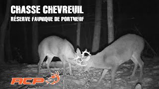 Chasse au chevreuil réserve faunique de Portneuf [upl. by Haleelahk]