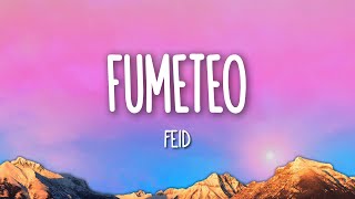 Feid  Fumeteo LetraLyrics [upl. by Neggem693]