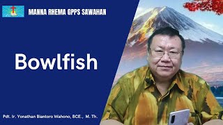 Manna RhemaSabtu 25 Mei 2024 quotBowlfishquot [upl. by Ardien]