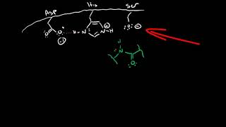 Serine Protease Mechanism [upl. by Turnheim]