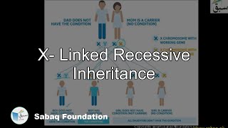 X Linked Recessive Inheritance Biology Lecture  Sabaqpk [upl. by Adnamaa]