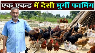 एक एकड में देसी मुर्गी फार्मिंग Free Range Desi Murgi Palan  Desi Poultry Farming [upl. by Elehcin]