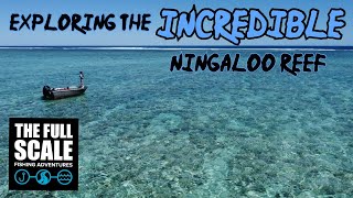 Exploring The INCREDIBLE Ningaloo Reef  The Full Scale [upl. by Mullen293]