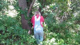 Removing Poison Ivy Vine from a Tree [upl. by Liarret601]