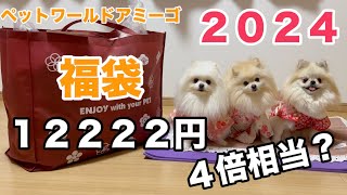 2024初売りで１番高い犬の福袋を開封してみたらまさかの結果が [upl. by Atsyrt]