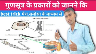 गुणसूत्र किसे कहते हैगुणसूत्र के प्रकार एवं कार्य What is chromosome Types and function [upl. by Lleruj]