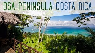 Osa Peninsula  Costa Rica by Frog TV [upl. by Lesley603]