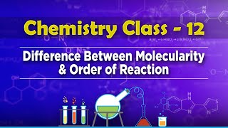 Difference Between Molecularity and Order of Reaction  Chemical Kinetics  Chemistry Class 12 [upl. by Eenolem]