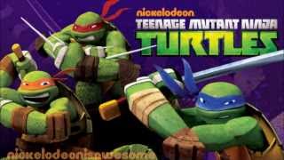 Teenage Mutant Ninja Turtles TMNT  Theme Song [upl. by Mariska]