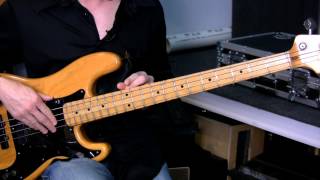 Difference Between Fretted amp Fretless Bass Guitars [upl. by Merfe]