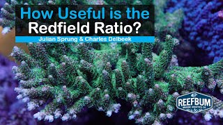 How Useful is the Redfield Ratio Julian Sprung amp Charles Delbeek Rappin With ReefBum Sound Bite [upl. by Torre]