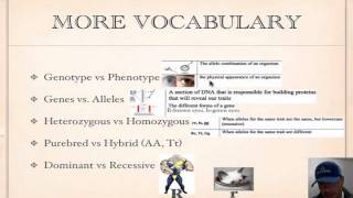 Genetics Vocabulary Tutorial [upl. by Liag530]