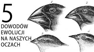 5 dowodów ewolucji na naszych oczach [upl. by Madelin986]