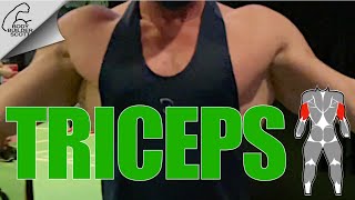 Triceps Ready to Pop [upl. by Ias]