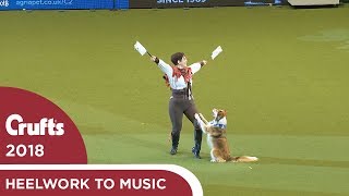 Heelwork to Music  Freestyle International Competition Part 3  Crufts 2018 [upl. by Gosney]