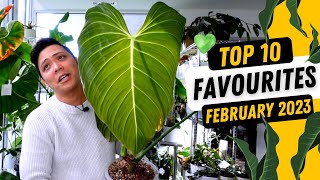 Top 10 Favourite Plants 💚 February 2023 🤩 Philodendron Anthurium Hoya Monstera [upl. by Noizneb421]