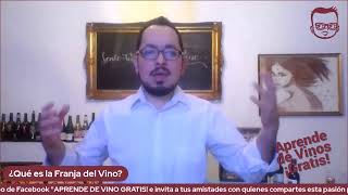 ¿Qué es la Franja del Vino [upl. by Bosch888]