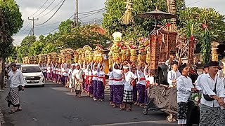 Live mepeed pasedana dan kertiyasa karya pengusaban pura puseh bona 2024 mogi sami rahayu [upl. by Nuarb]