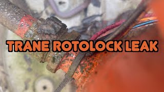 No CoolingTrane Rotolock Leaking [upl. by Kimball]