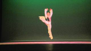 Ballet  La Esmeralda Pas de Deux  Ana Sophia Scheller NYCB Joseph Phillips ABT [upl. by Teloiv912]