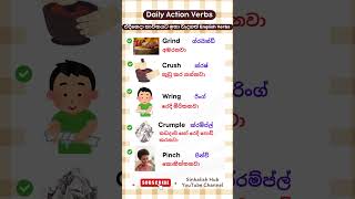 ඔබ දැන ගත යුතුම 10 Essential Daily English Action Verbs 🌟 [upl. by Kowatch804]