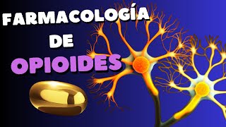 Farmacología del tramadol la morfina y otros opioides [upl. by Eneleoj]