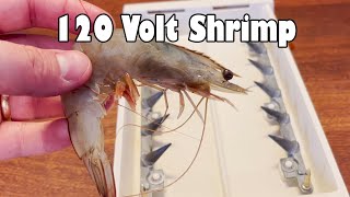 Cooking Shrimp With Retro 120 Volt Hot Dogger NSE [upl. by Rutledge]